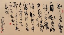 鷨5